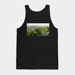 Frost Covered Clover Tank Top